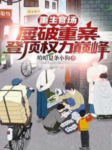 重生官场:屡破重案登顶权力巅峰