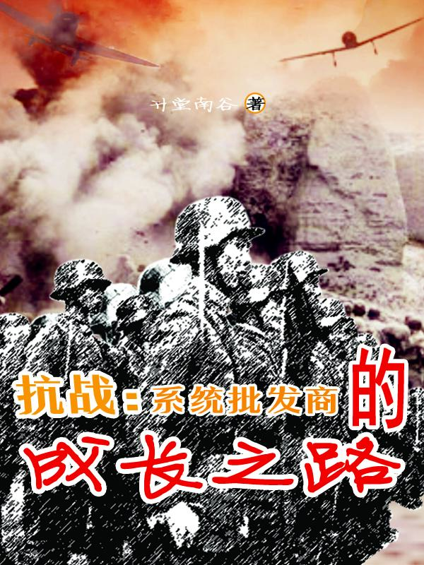 抗战:系统批发商的成长之路