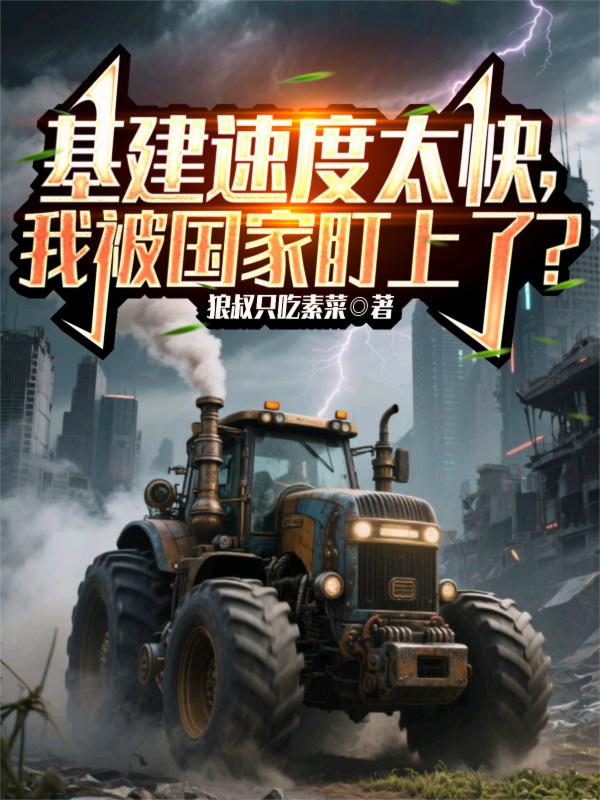 基建速度太快,我被国家盯上了?